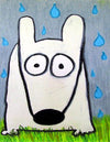 stinky dog in the rain