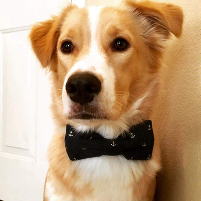 Dog Bow Tie Collars